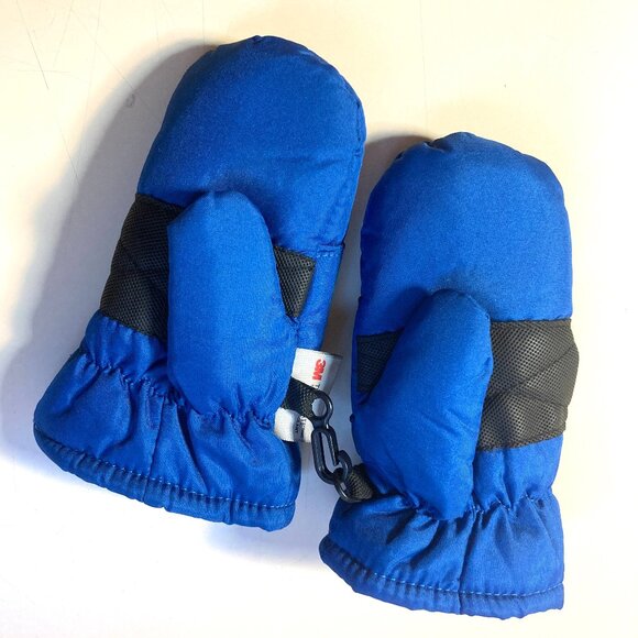 Blue Thinsulate Mittens - Picture 1 of 3